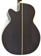 Takamine P5NC-TRIAX Pro Series 5 Cutaway Acoustic Guitar Natural Gloss, P5NCTRIAX