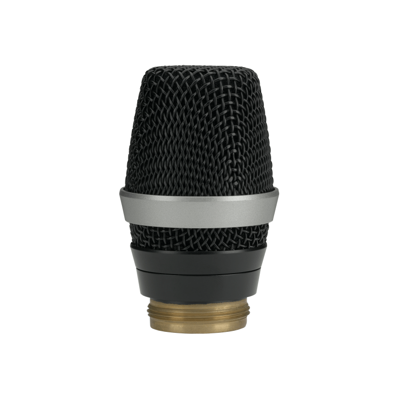 AKG D5 WL1 Professional Dynamic Microphone Head