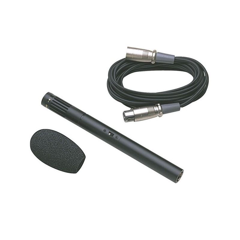 Audix UEM81C PrePolarized, Battery Powered Condenser Microphone