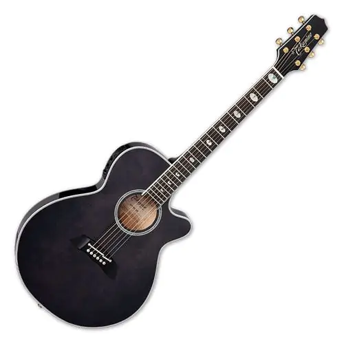 Takamine TSP158C SBL Acoustic Electric Guitar See Thru Black Gloss, TAKTSP158CSBL