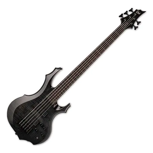 ESP LTD F-1005 5 String Electric Bass See Thru Black, LF1005FMSTBLK