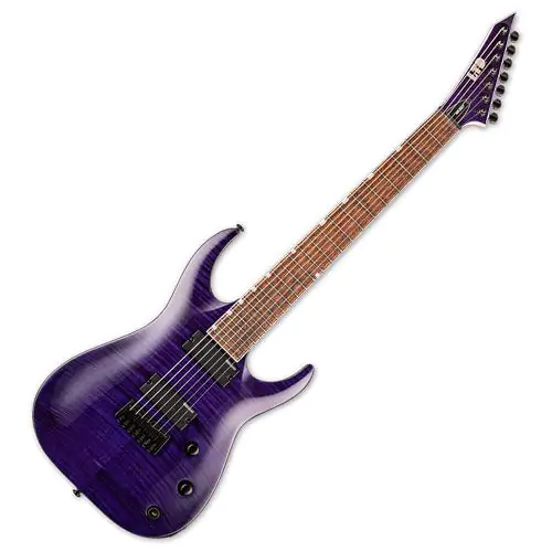 ESP LTD Brian "Head" Welch Signature SH-207 Electric Guitar See Thru Purple, LSH207FMSTP