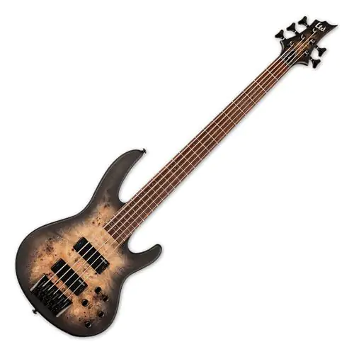 ESP LTD D-5 5 String Electric Bass Black Natural Burst Satin, LD5BPBLKNBS