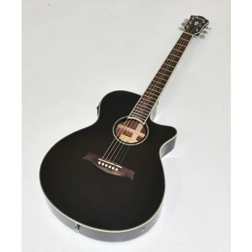 Ibanez AEG10NIIBK Classical Acoustic Electric Guitar Black B-Stock 0331, AEG10NIITNG.B 0605