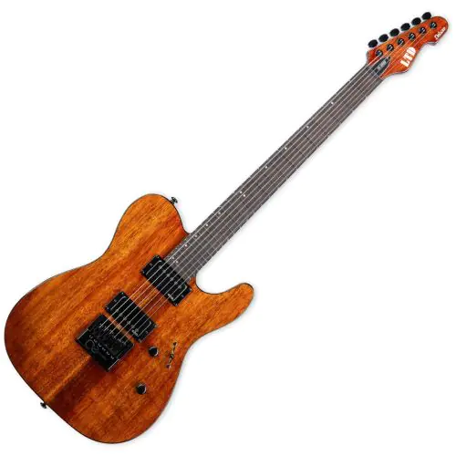 ESP LTD TE-1000ET Guitar Natural Koa B-Stock, LTE1000ETKNAT