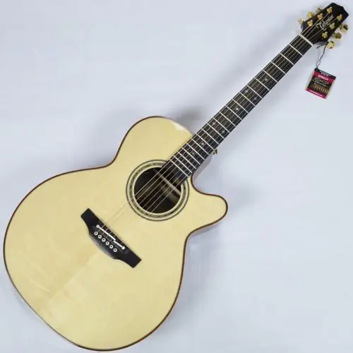 Takamine DMP500CE DC Engelmann Spruce Top Limited Edition Guitar, DMP500CE DC