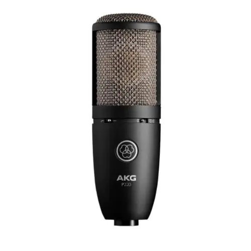 AKG P220 High-Performance Large Diaphragm True Condenser Microphone, P220