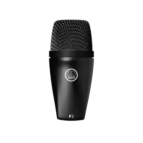 AKG P2 High-Performance Dynamic Bass Microphone, P2