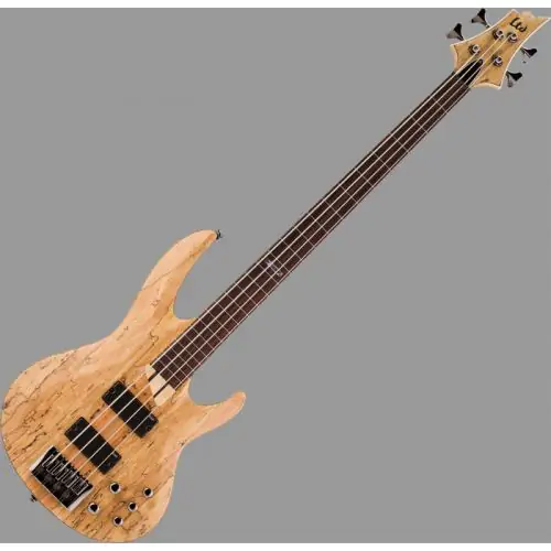 ESP LTD B-204SM Fretless Bass in Natural Stain Finish, B-204SM-FL-NS