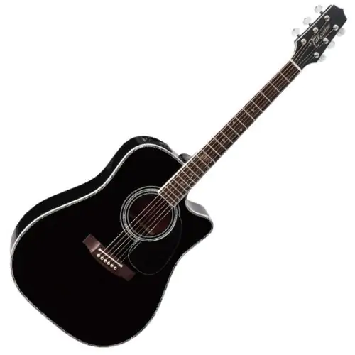 Takamine Signature Series SW341SC Steve Wariner Acoustic Guitar in Gloss Black Finish, TAKSW341SC