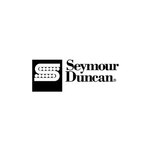 Seymour Duncan SM-2N Custom Mini Humbucker 4-Conductor Neck Pickup, 11102-33