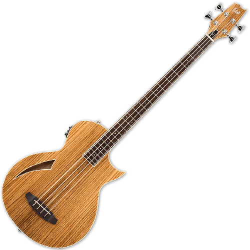 ESP LTD TL-4Z Thinline Acoustic Electric Bass in Natural Finish, TL-4Z NAT