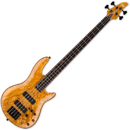ESP LTD H-1004SE Electric Bass in Honey Natural Finish, LH1004SEBMHN