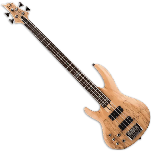 ESP LTD B-204SM Left Handed Bass Guitar in Natural Stain Finish, B-204SM-NS LH