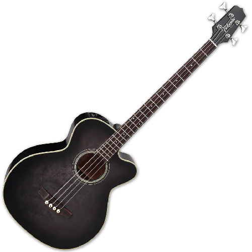 Takamine PB5 SBL Pro Series Acoustic Guitar in See Thru Black, TAKPB5SBL