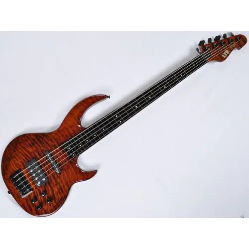 ESP LTD BB-1005FL QM Fretless Bunny Brunel Electric Bass in Burnt, BB-1005FL QM BOR