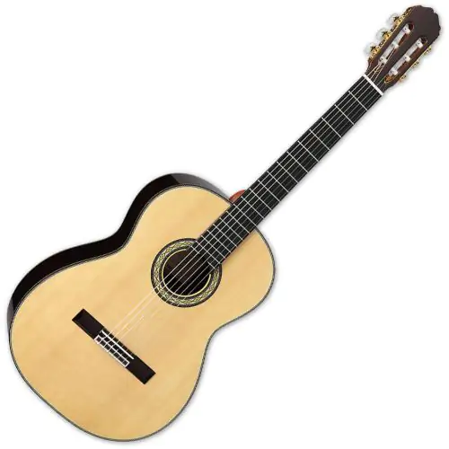 Takamine H8SS Classic Acoustic Guitar Natural, TAKH8SS