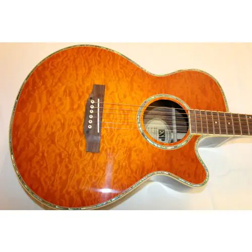 ESP LTD AC-200E Natural Sample/Prototype 2003, LAC200E