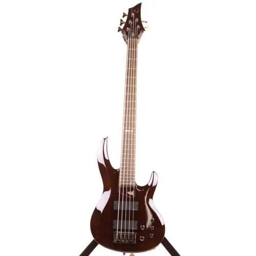 ESP LTD B-205 HSN Sample/Prototype Bass Guitar, LB205HSN