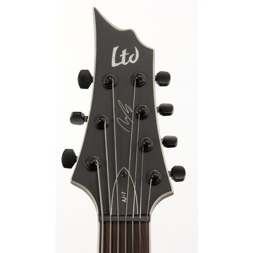 充実の品 ESP LTD AJ-7 Andy James Signature Black Satin 7-String その他
