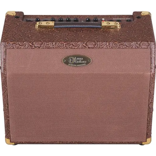 Luna Acoustic Ambiance 25 Watt Amp AA 25, AA 25