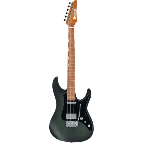 Ibanez Erick Hansel Signature EH10 TGM Transparent Green Matte Electric Guitar w/Bag, EH10TGM