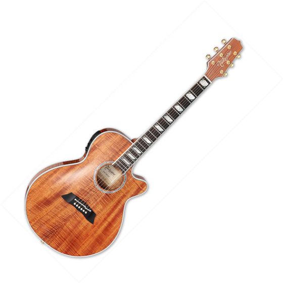 Takamine TSP178ACK N Acoustic Electric Guitar Gloss Natural, TAKTSP178ACKN