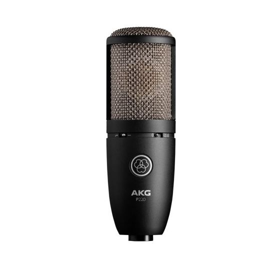 AKG P220 High-Performance Large Diaphragm True Condenser Microphone, P220