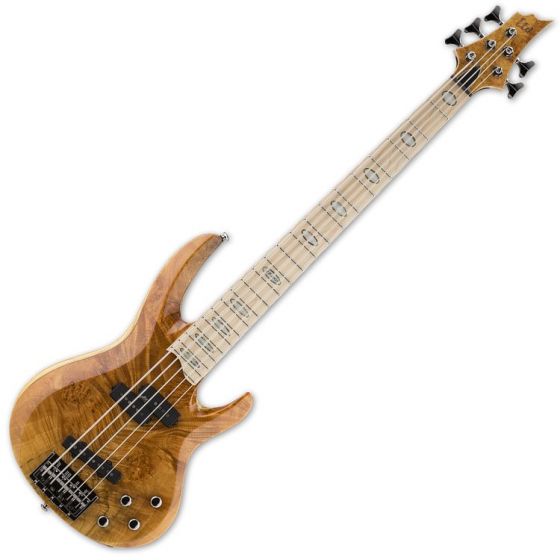 ESP LTD RB-1005BM HN 5-String Electric Bass Guitar in Honey Natural, RB-1005BM-HN