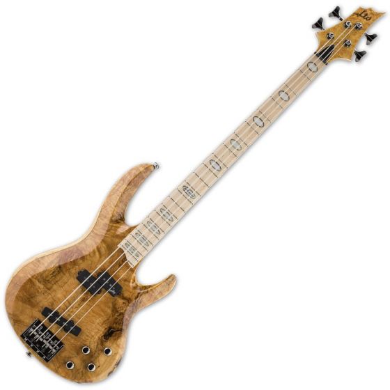 ESP LTD RB-1004BM HN 4-String Electric Bass Guitar in Honey Natural, RB-1004BM-HN