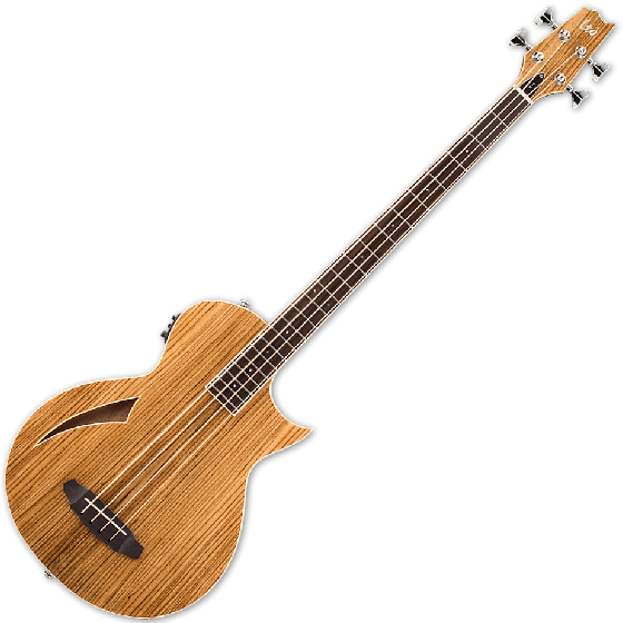 ESP LTD TL-4Z Thinline Acoustic Electric Bass in Natural Finish, TL-4Z NAT