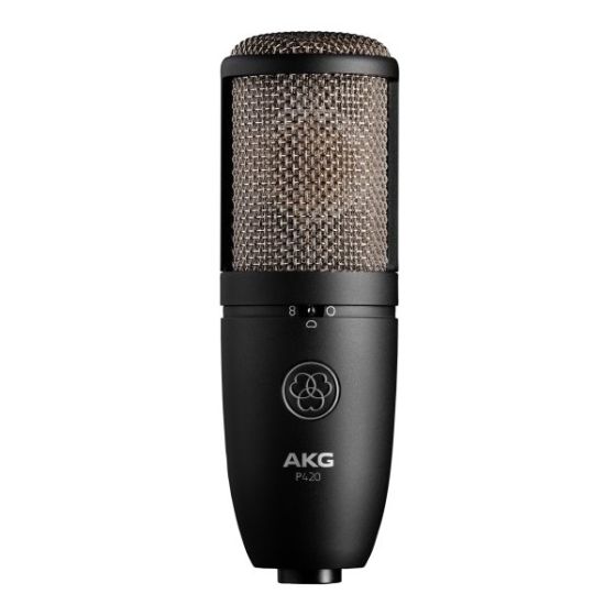 AKG P420 High Performance Dual Capsule True Condenser Microphone, 3101H00430