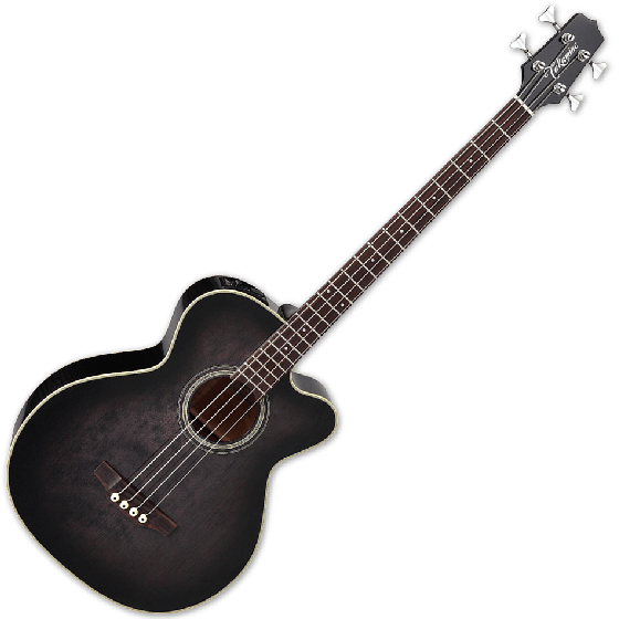 Takamine PB5 SBL Pro Series Acoustic Guitar in See Thru Black, TAKPB5SBL