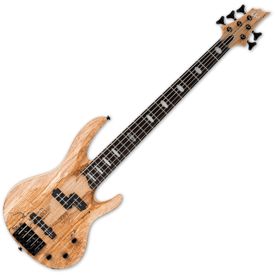 ESP LTD RB-1005SM 5 String Electric Bass Natural Satin, LRB1005SMNS