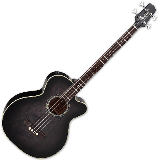 Takamine PB5 SBL Pro Series Acoustic Guitar See Thru Black B-Stock, TAKPB5SBL.B