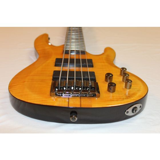 ESP LTD B-255NG Sample/Prototype Bass Guitar, LB255NG