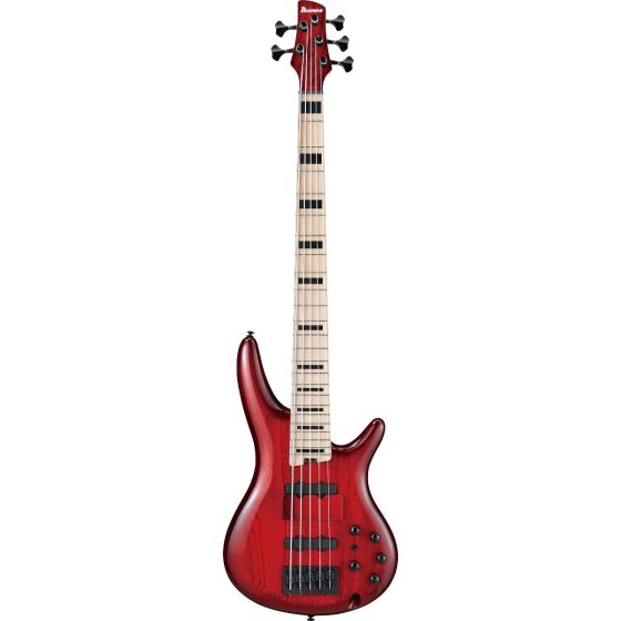 Ibanez Adam Nitti Signature 5 String Electric Bass Guitar, ANB205TWB