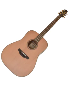 Takamine FN15AR Limited Dreadnought Guitar B-Stock, FN15AR