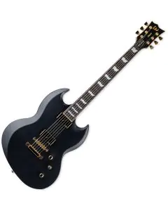ESP LTD VIPER-1000VB Vintage Black Guitar B-Stock, LVIPER1000VB