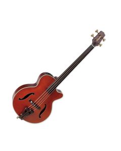 Takamine DB10 Acoustic Electric Bass Red Stain, JTAKDB10