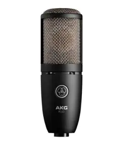 AKG P220 High-Performance Large Diaphragm True Condenser Microphone, P220