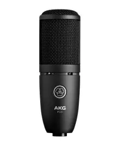 AKG P120 High-Performance General Purpose Recording Microphone, P120