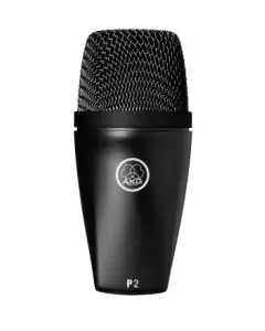 AKG P2 High-Performance Dynamic Bass Microphone, P2