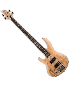 ESP LTD B-204SM Left Handed Bass Guitar in Natural Stain Finish, B-204SM-NS LH