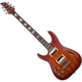 Schecter C-1 E/A Classic Lefty Guitar Faded Vintage Sunburst, 644