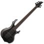 ESP LTD F-1005 5 String Electric Bass See Thru Black, LF1005FMSTBLK