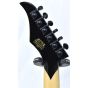 Wylde Audio Blood Eagle Electric Guitar Nordic Ice B-Stock 0067, 4521.B 0067