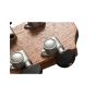 Baton Rouge AR21C/ACE Auditorium Cutaway Guitar, AR21C/ACE