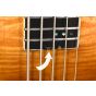 Schecter SLS Elite-5 Electric Bass Antique Fade Burst B-Stock 1397, 1393