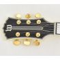 Wylde Audio Odin Grail Genesis Bullseye Lefty B-Stock 0020, WYLDE4514